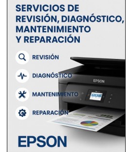 DTF Revisión, Diagnóstico y MTO Impresoras A3 2 cabezales